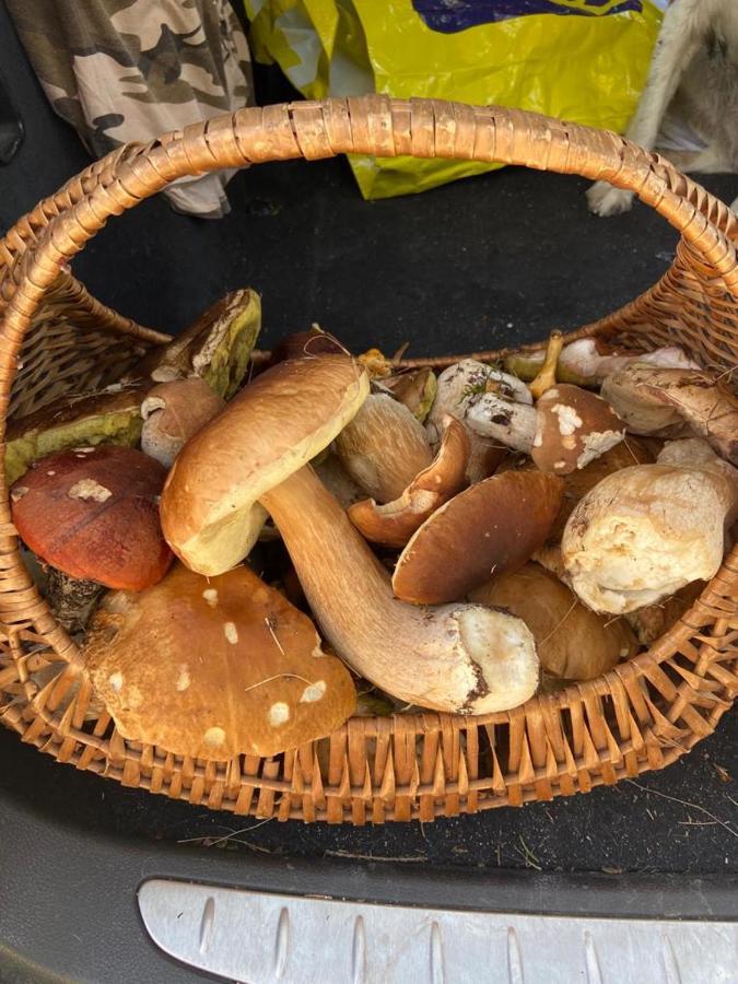 Affittacamere Da Silvia Santa Barbara  外观 照片